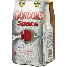 GORDON'S SPACE (275ml)