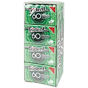 Τσίχλες TRIDENT 60 minutes δυόσμος (1τεμ.)